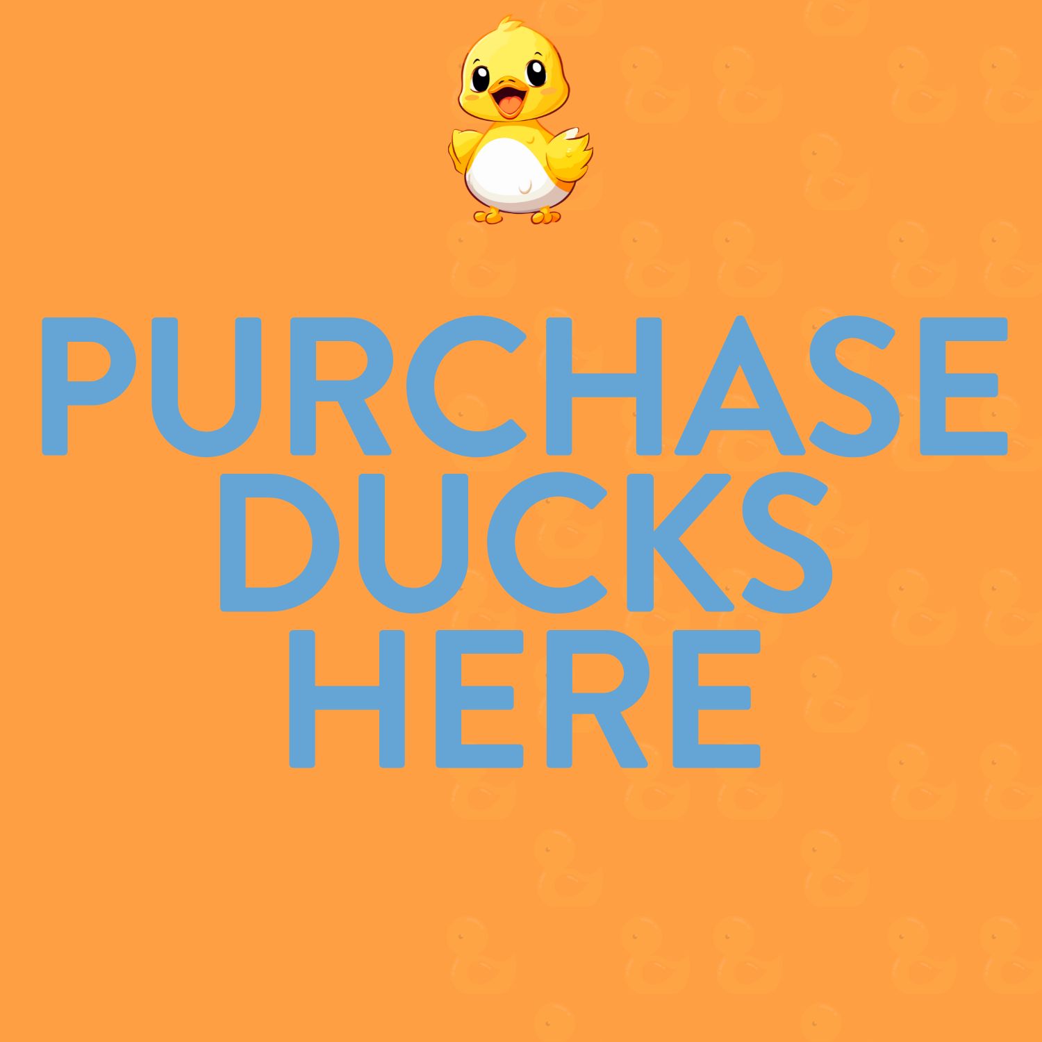 Purchase Ducks for the Duck Dash